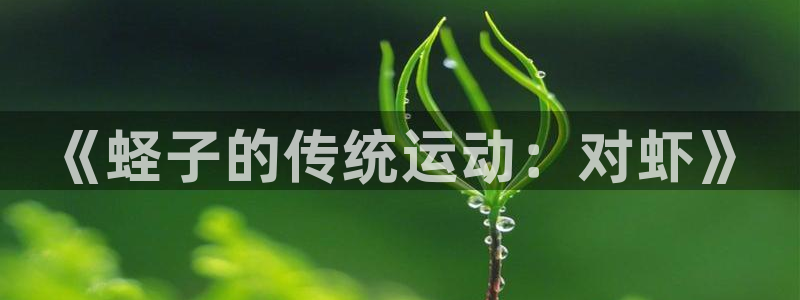 球王会体育：《蛏子的传统运动：对虾》