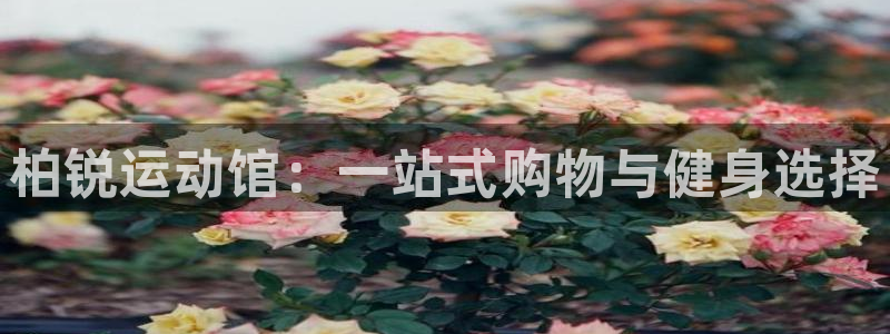 球王会体育：柏锐运动馆：一站式购物与健身选择