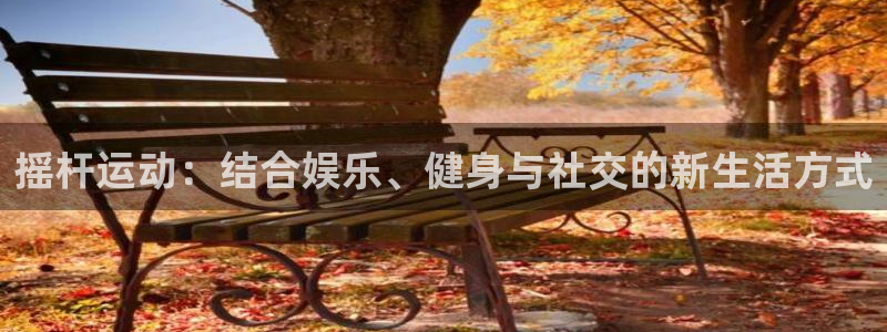 球王会体育：摇杆运动：结合娱乐、健身与社交的新生活方式