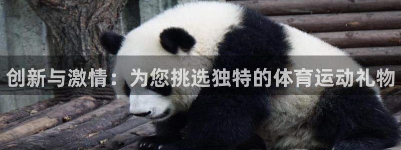 球王会体育：创新与激情：为您挑选独特的体育运动礼物