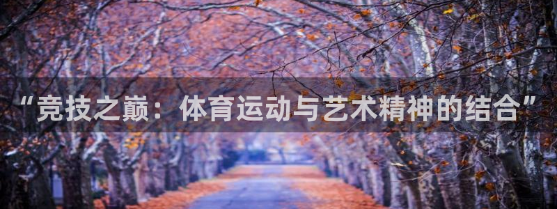 球王会体育：“竞技之巅：体育运动与艺术精神的结合”