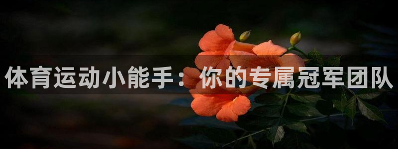 球王会体育：体育运动小能手：你的专属冠军团队