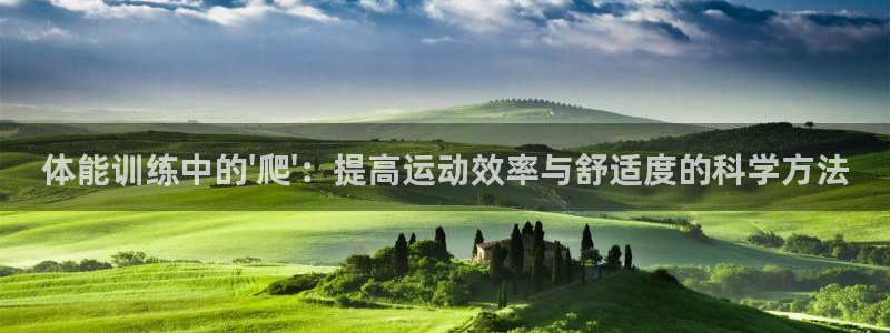 球王会体育：体能训练中的\'爬\'：提高运动效率与舒适度的科学方法