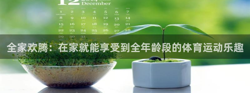 球王会体育：全家欢腾：在家就能享受到全年龄段的体育运动乐趣
