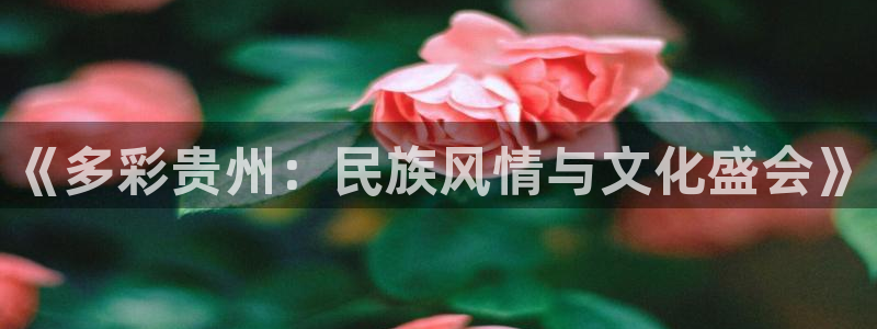 球王会体育：《多彩贵州：民族风情与文化盛会》
